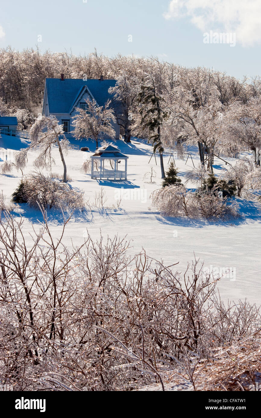 Argento scongelamento e Anne di Green Gables Museum Park Corner, Prince Edward Island, Canada Foto Stock