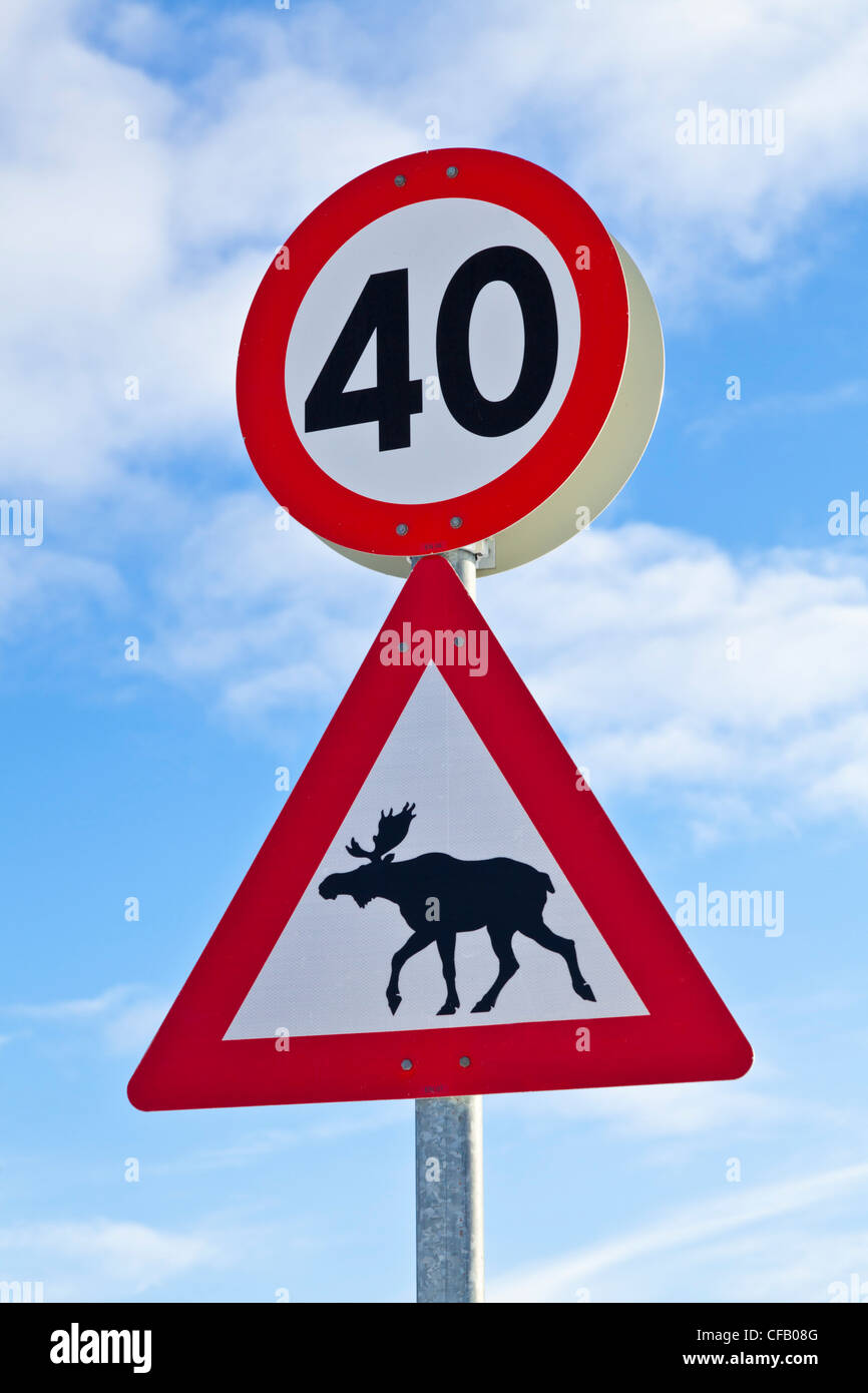 La renna attraversamento animali selvatici del segno di avvertimento e limite di velocità avviso Norvegia del nord Europa Foto Stock