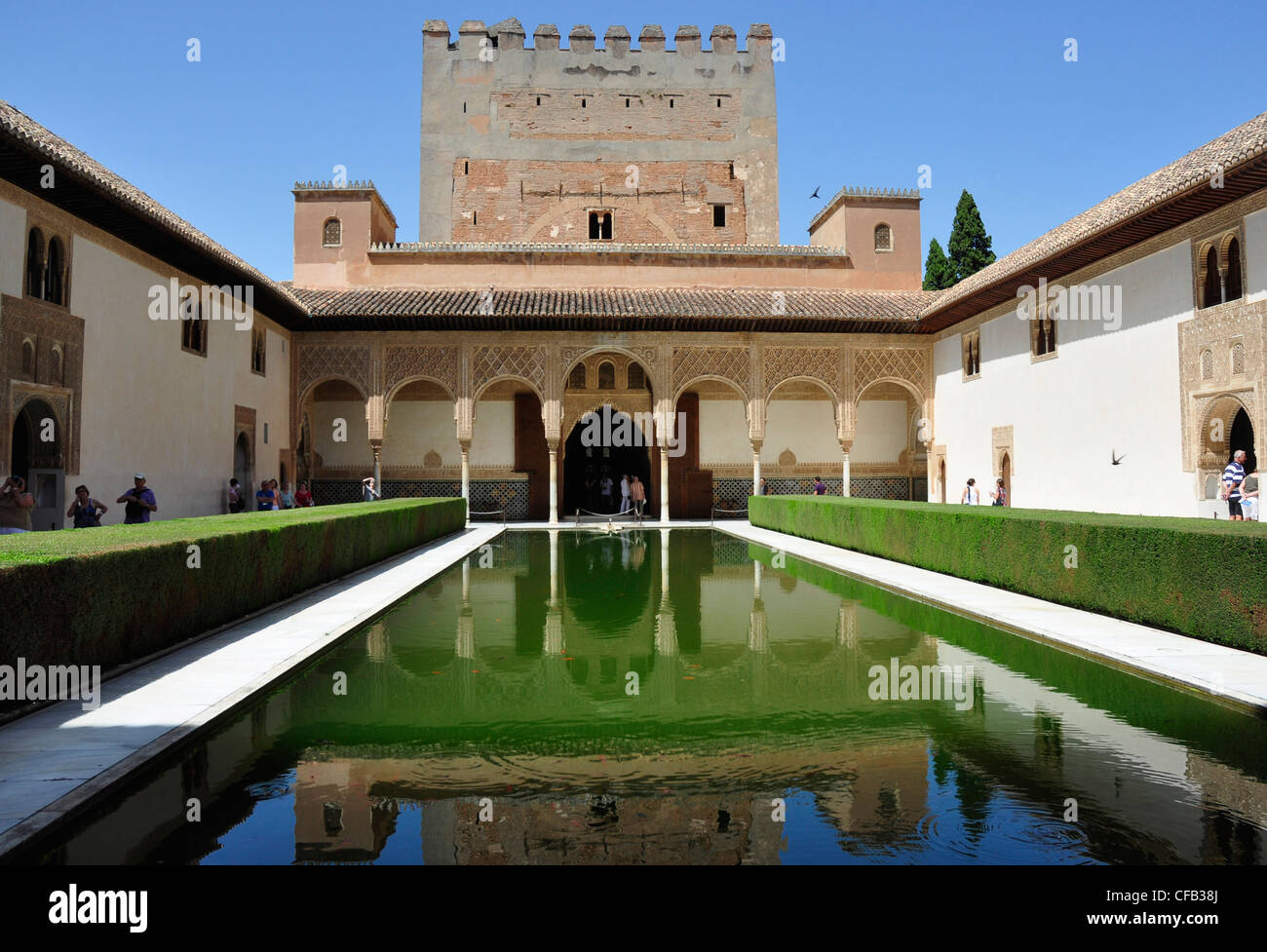 Spagna - Andalusia - Granada - acqua giardino nell'Alhambra Palace. Foto Stock