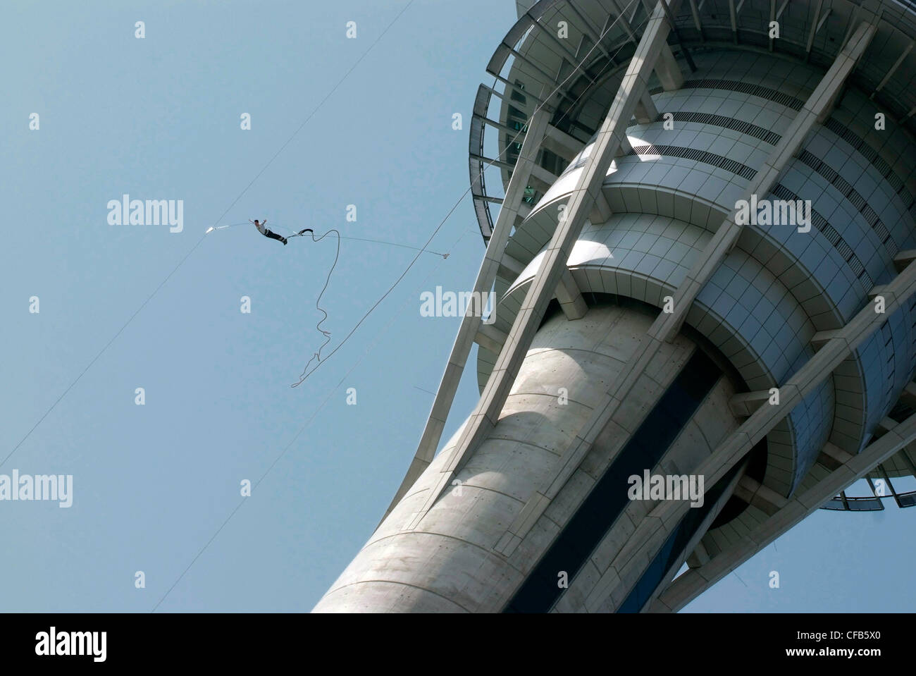 Cina Macau SAR bungee jumper cadendo dalla Torre di Macau Foto Stock