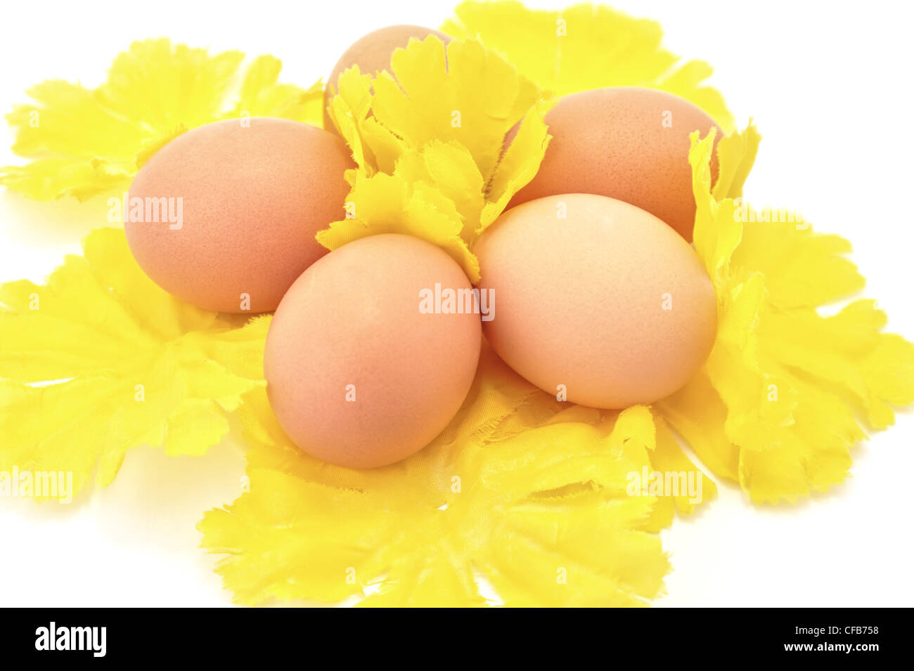 Le uova di pasqua su giallo fiori decorativi Foto Stock