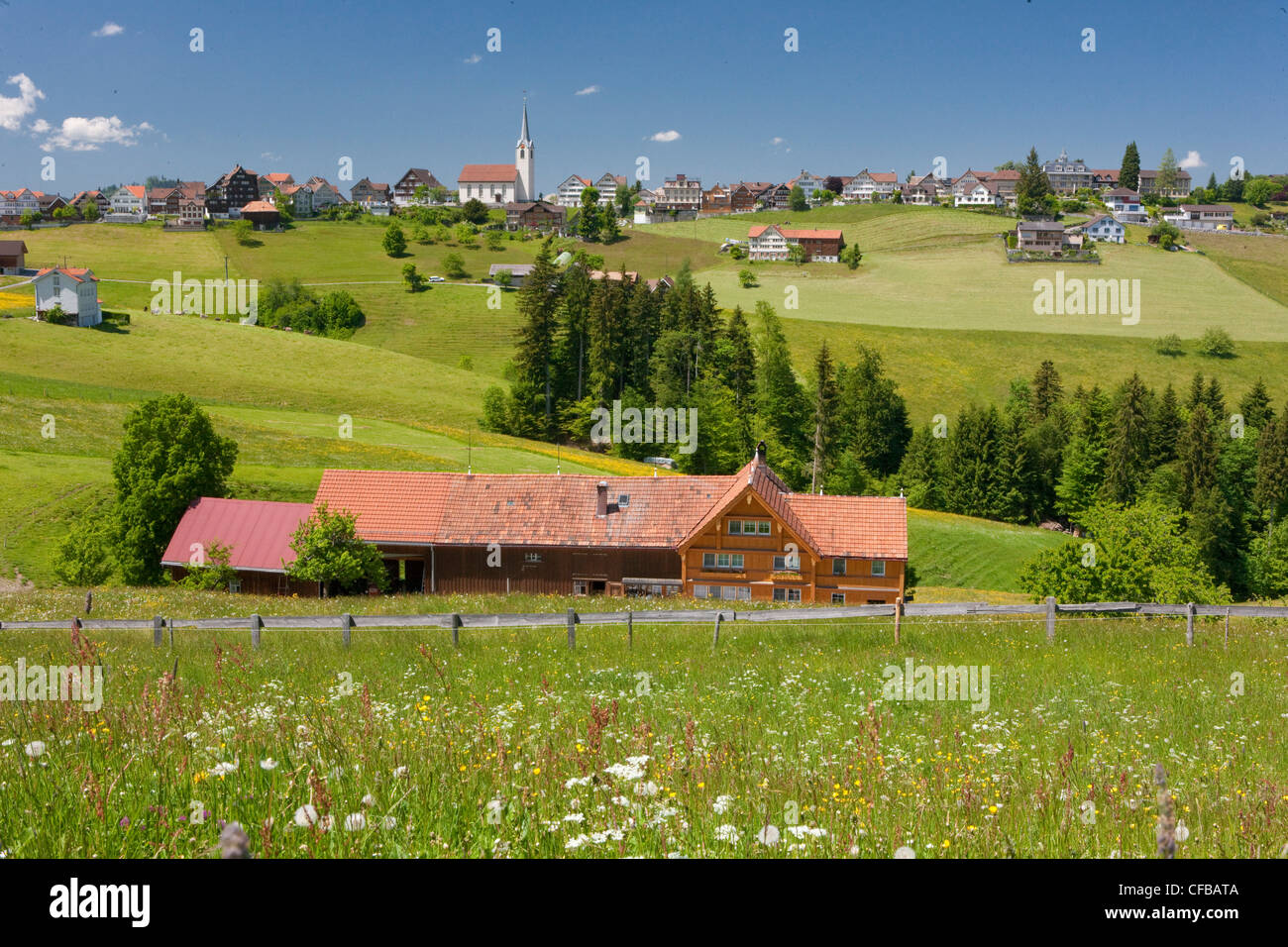 Villaggio, agricoltura, cantone di Appenzell, Svizzera, Europa, Ausserrhoden, Schwellbrunn, agriturismo, prato Foto Stock