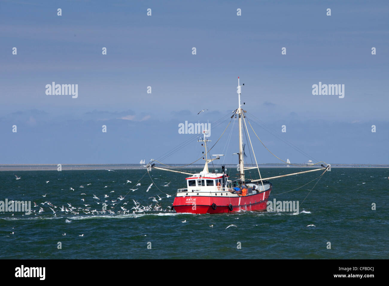 Holland, Europa Paesi Bassi, nave, barca, navi, barche barca da pesca, mare Foto Stock
