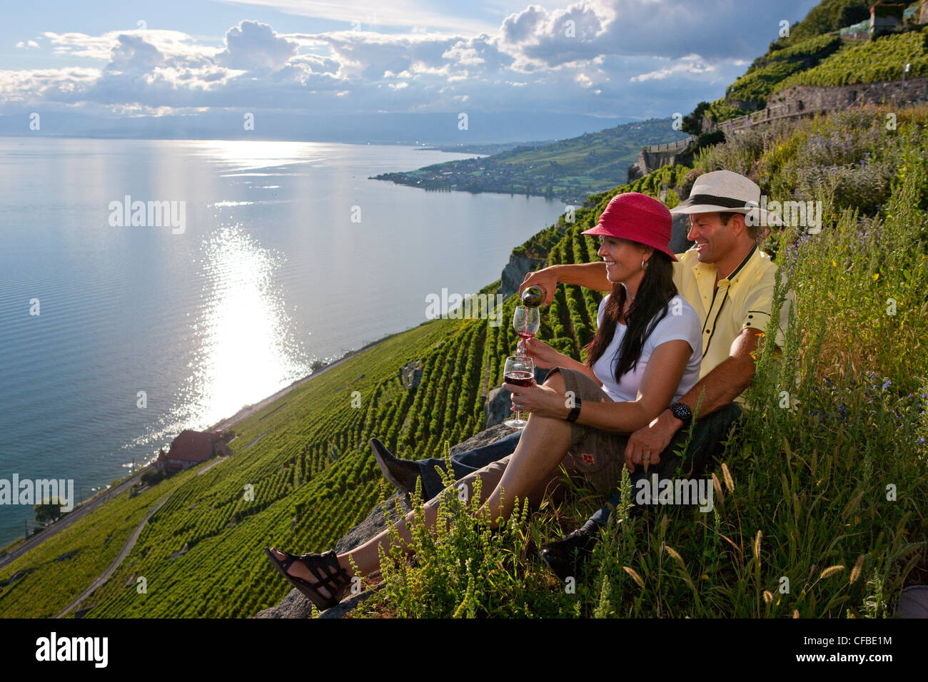 Lago, del cantone di Vaud e di Vaud, Svizzera, Europa, il lago di Ginevra, bere vino, germogli, vigneto, la viticoltura, villaggio, giovane Foto Stock