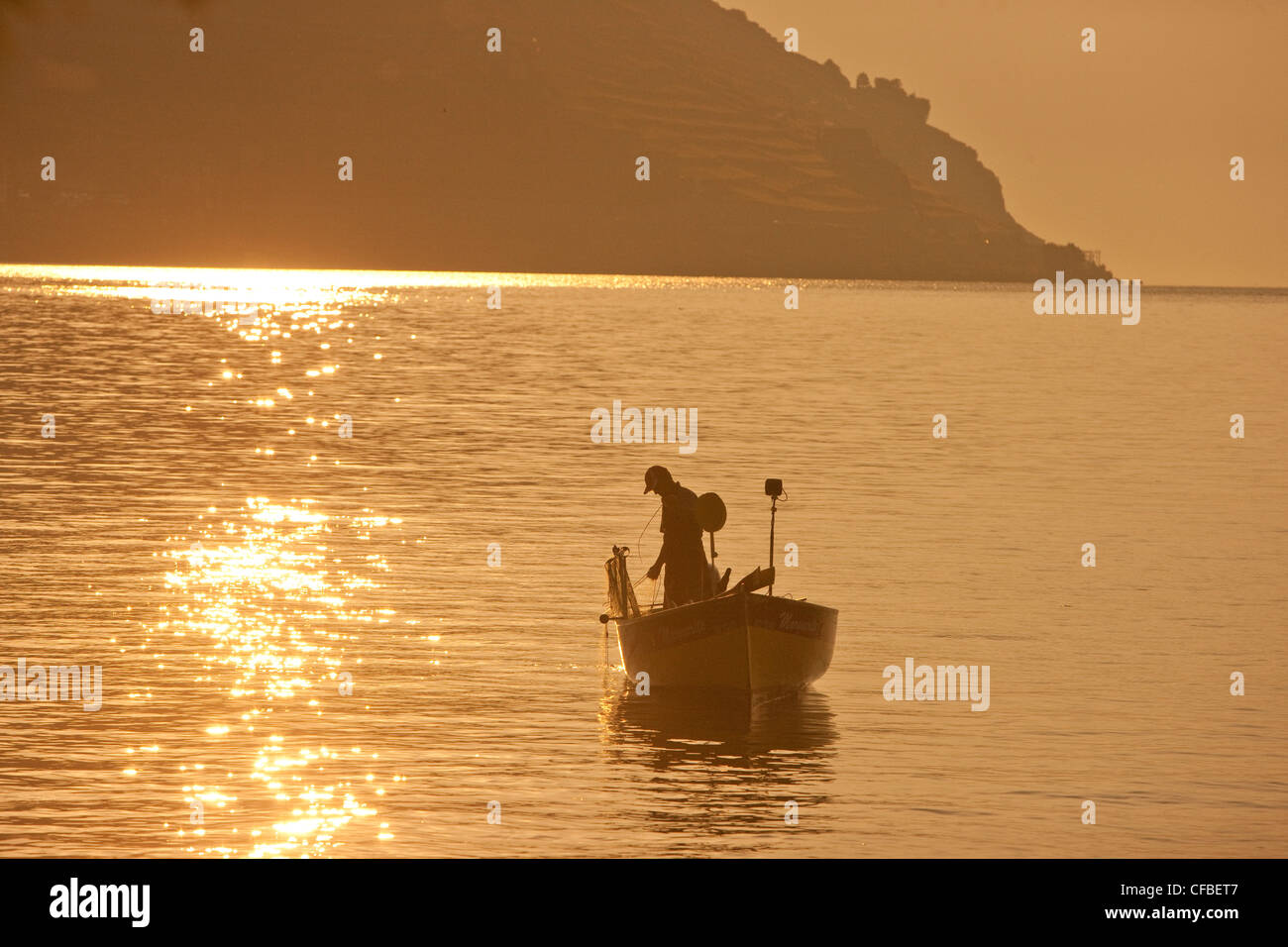 Lago, del cantone di Vaud e di Vaud, Svizzera, Europa Svizzera occidentale, sul Lago di Ginevra, lavoro, lavoro, occupazione, professione, occupazioni Foto Stock