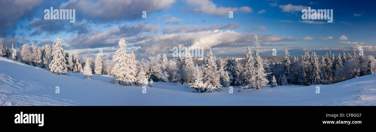 Montagna, montagne, neve, lago, inverno, la neve, del cantone di Vaud e di Vaud, Svizzera, Europa Svizzera occidentale, panorama, Lago gen. Foto Stock
