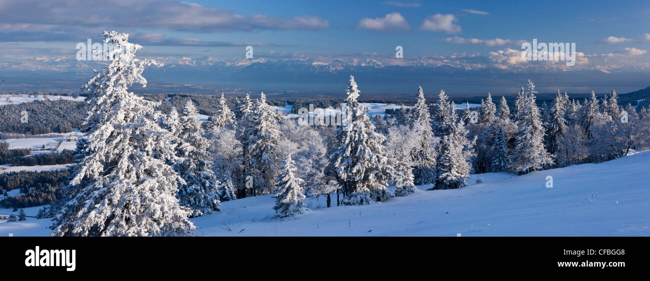 Montagna, montagne, neve, lago, inverno, la neve, del cantone di Vaud e di Vaud, Svizzera, Europa Svizzera occidentale, panorama, Lago gen. Foto Stock