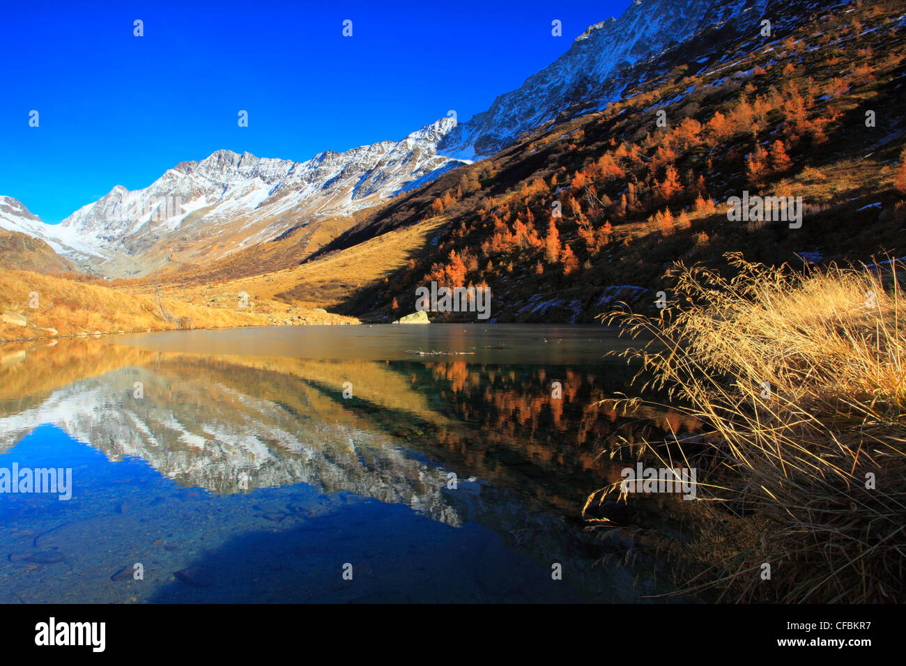 Vista, Lötschenlücke, Fafleralp, lago di base, l'autunno, colori, larice, larici, legno di larice, Lötschenlücke, Lötschental, valley, Unes Foto Stock