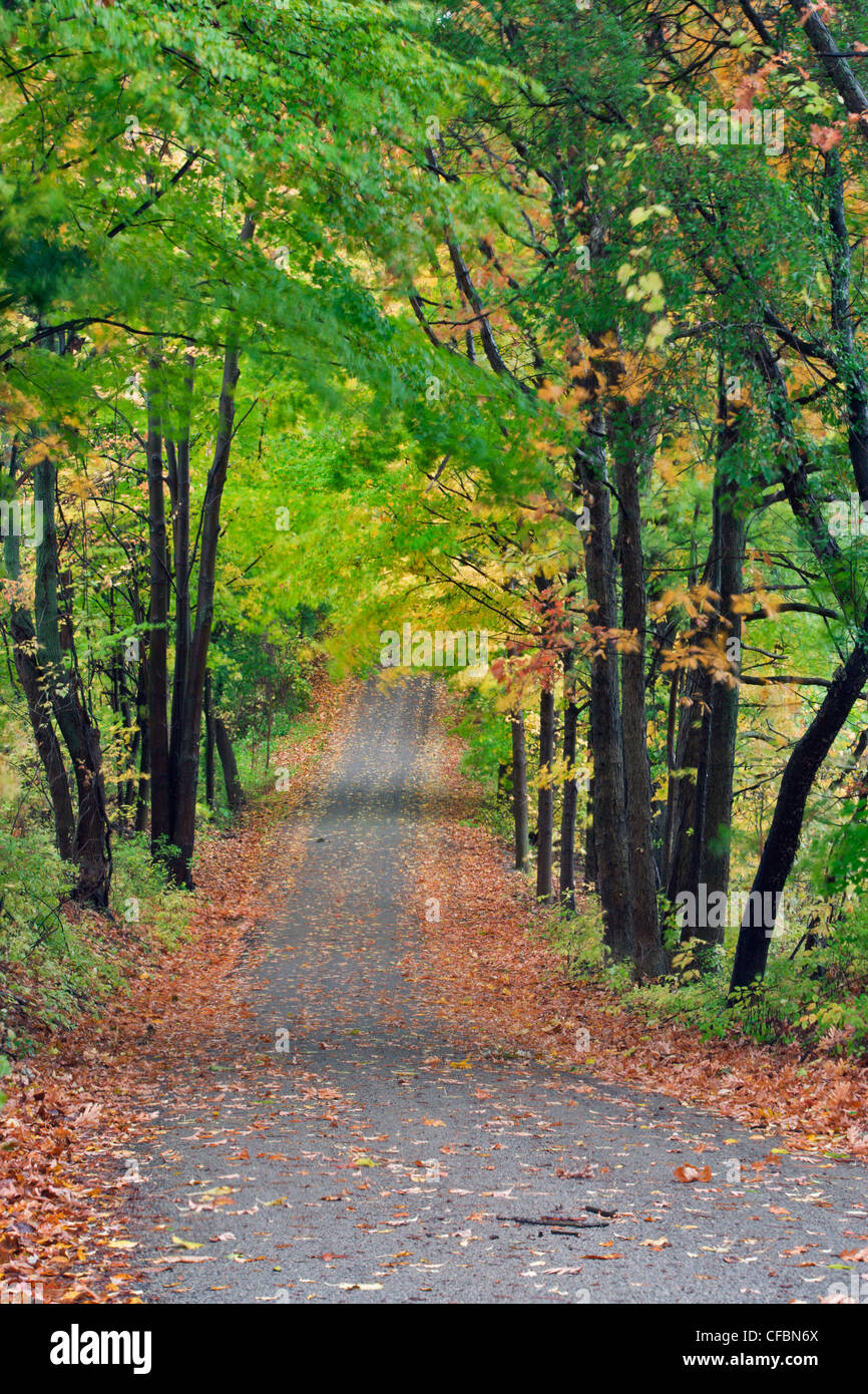 Orchard Hill Road in autunno, Pelham, Ontario, Canada Foto Stock