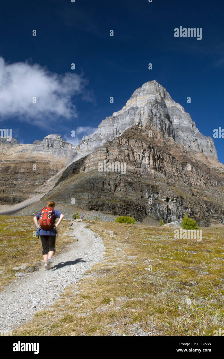 Femmina caucasica, larice Valley Trail, Pinnacle Mountain, il Parco Nazionale di Banff, Alberta, Canada Foto Stock