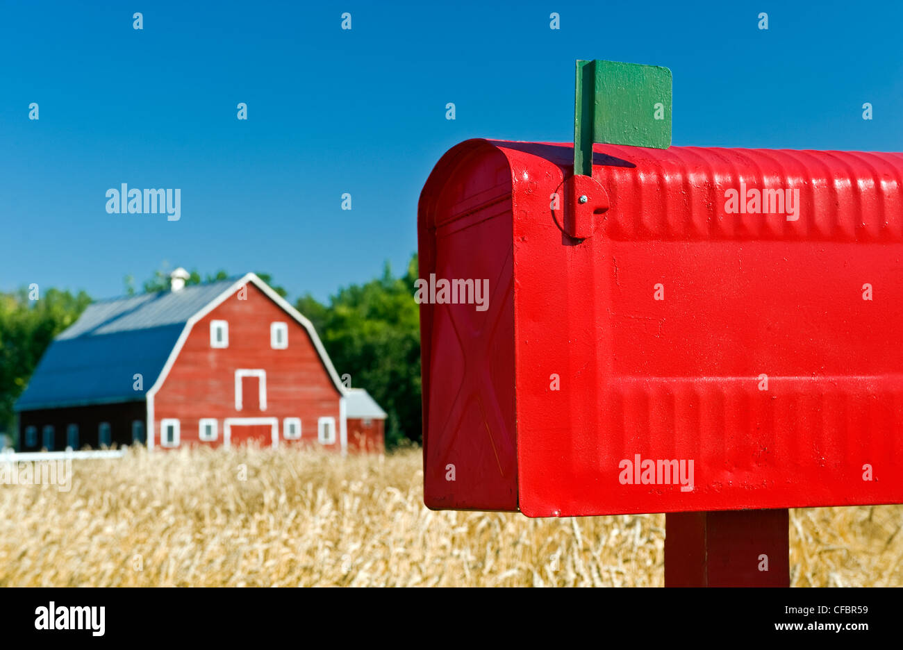 Close-up di cassetta postale rurale con stalla rossa e la molla campo di grano in background, Grande Pointe, Manitoba, Canada Foto Stock