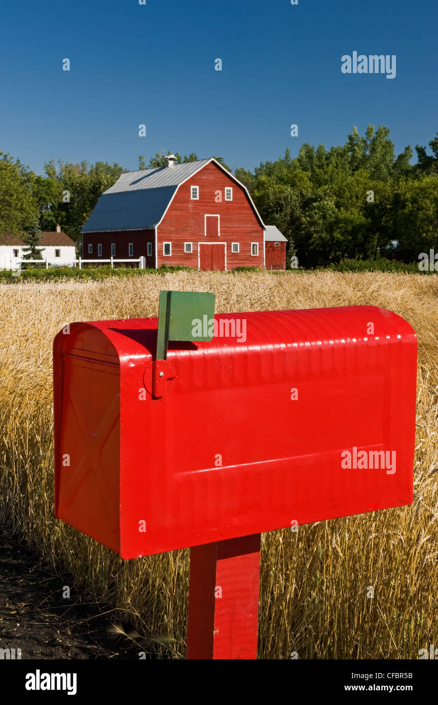 Close-up di cassetta postale rurale con stalla rossa e la molla campo di grano in background, Grande Pointe, Manitoba, Canada Foto Stock