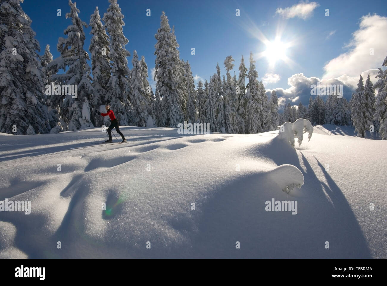 Sci di fondo in montagna Hollyburn al Cypress Parco Provinciale vicino a Vancouver BC Canada Foto Stock