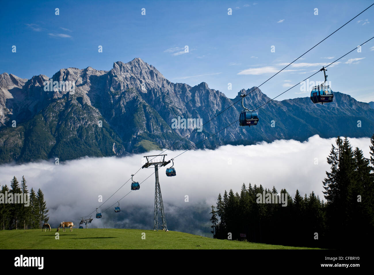 Mattina, umore, Alpine, prati, prati, Leogang, paese di Salisburgo, nebbia, cavalli, alp scenario, funivia, Austria, Foto Stock