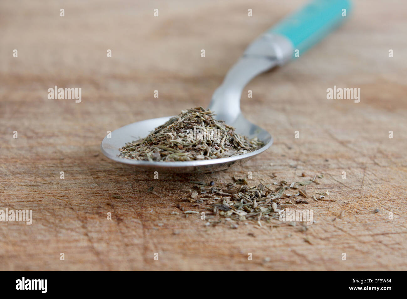 Il rosmarino su un cucchiaio Foto Stock