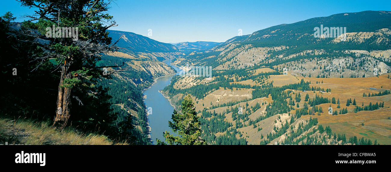 Fraser River Valley Ovest di Williams Lake, pecore Creek bridge della Hwy 20 in direzione ovest per il Chilcotin, British Columbia, Canada Foto Stock