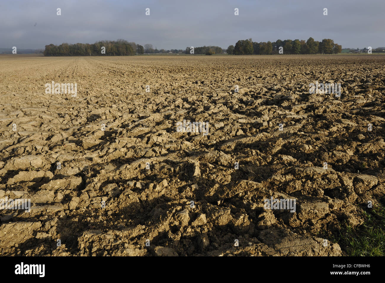 Campo Arato, boschi, La Brévonne, Champagne, Reparto Aube, Francia Foto Stock