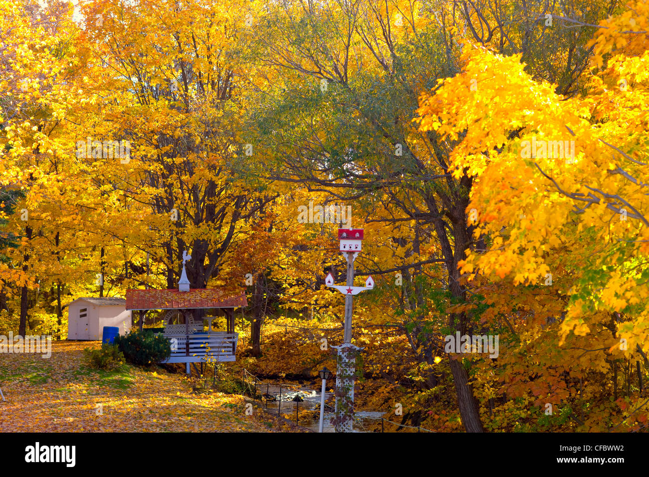 Birdhouses e versato da un torrente in autunno in Route du Fleuve, Quebec, Canada. Foto Stock