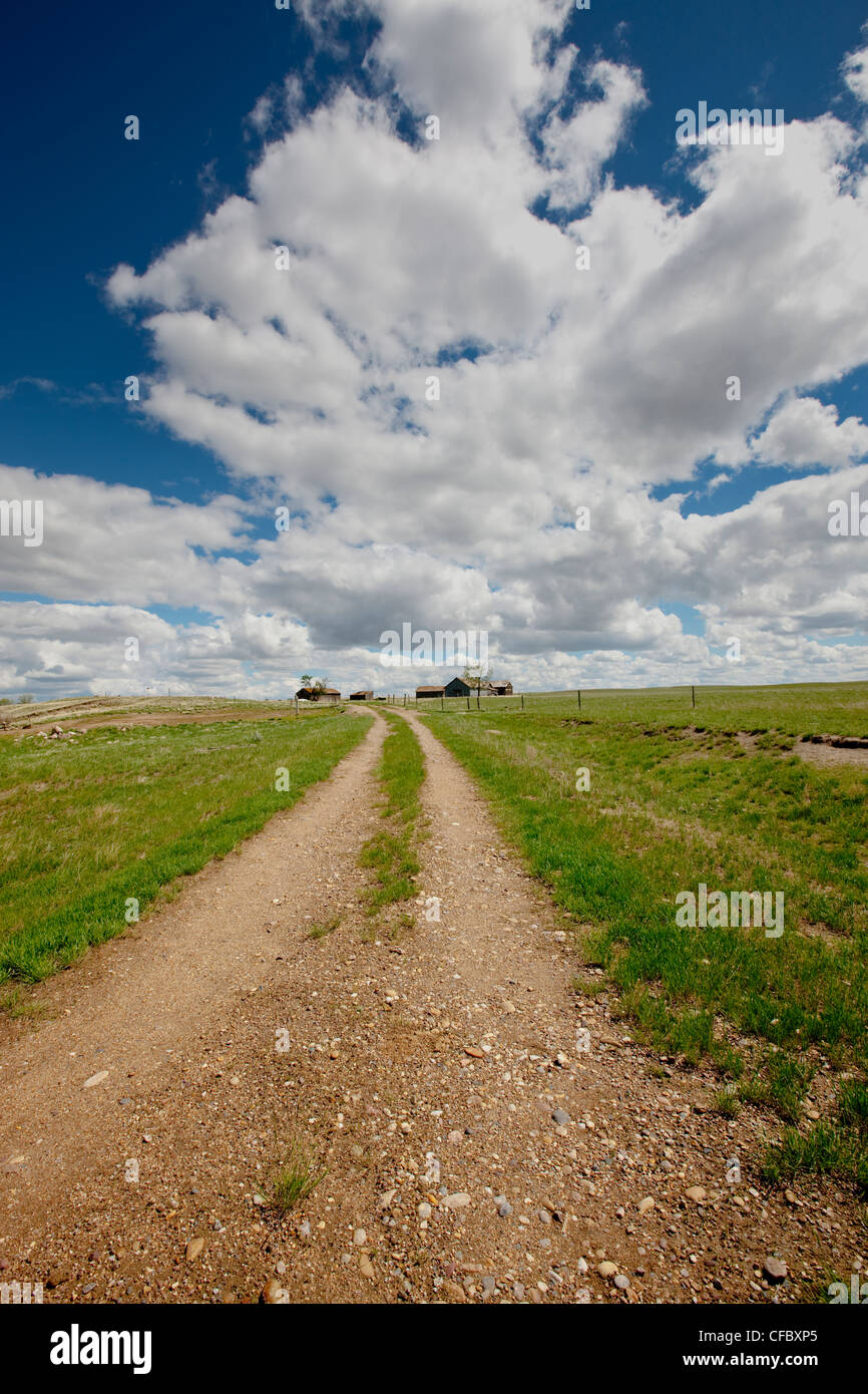 Strada sterrata per agriturismo vicino a praterie National Park, Saskatchewan, Canada. Foto Stock
