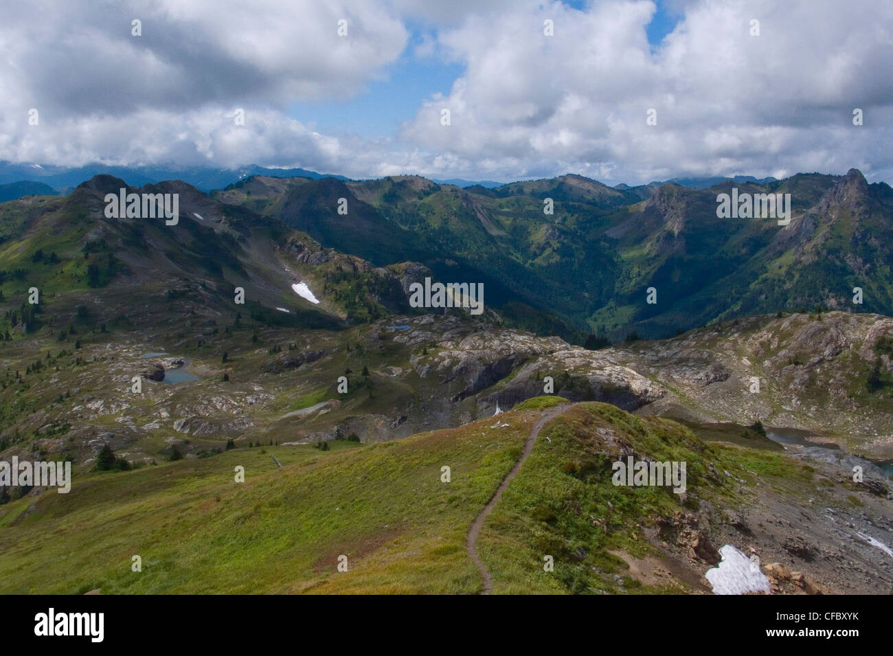 Guardando verso il basso giallo Aster Butte trail summit Foto Stock