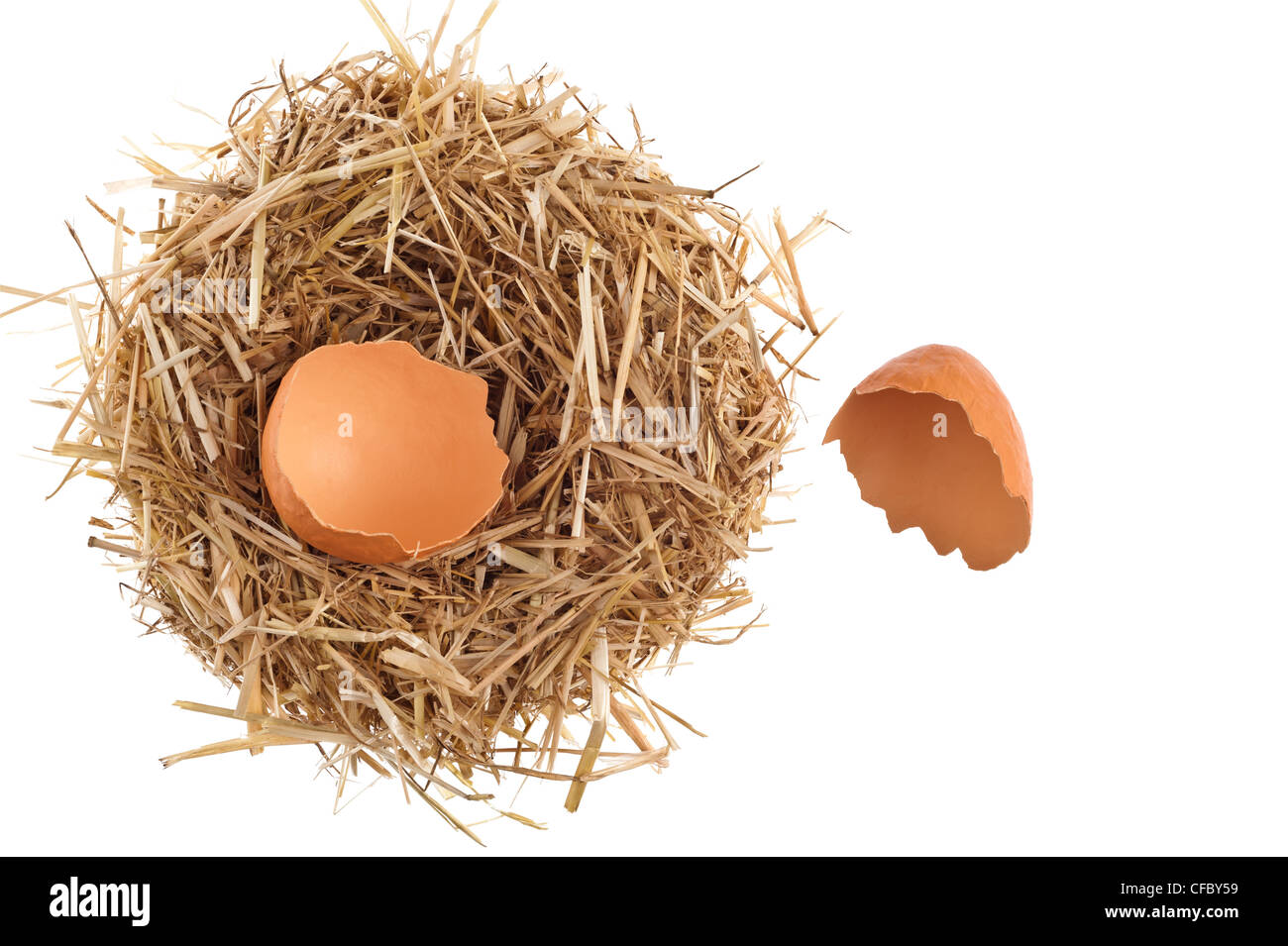 Nido di paglia con gusci di uova rotti su bianco studio shoot Foto Stock