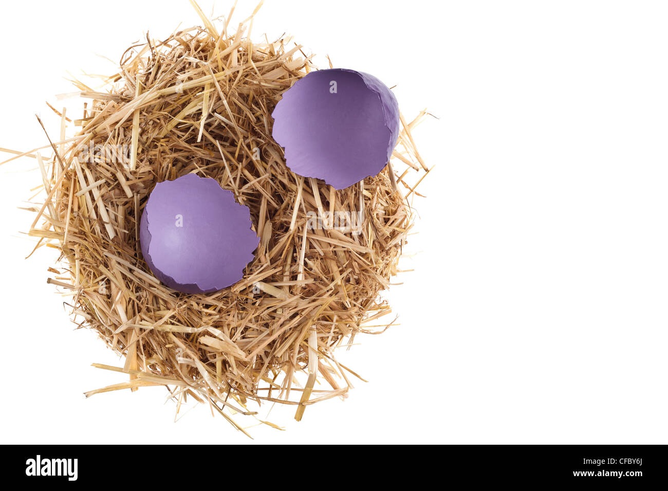 Nido di paglia con gusci di uova rotti su bianco studio shoot Foto Stock