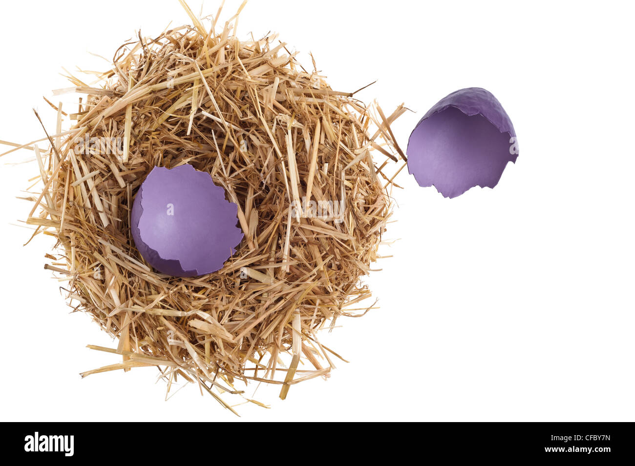 Nido di paglia con gusci di uova rotti su bianco studio shoot Foto Stock