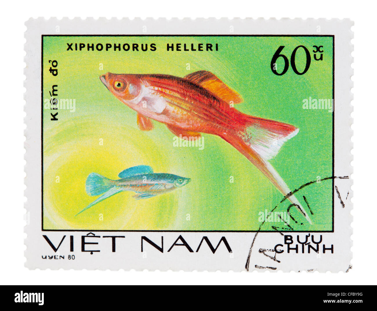 Francobollo con una foto di un acquario di pesci Foto Stock