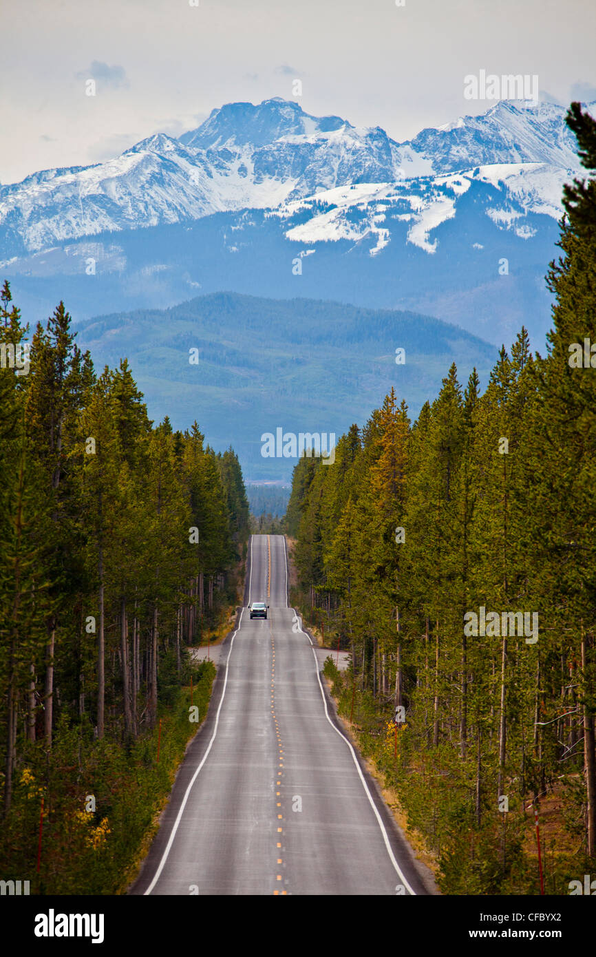 Stati Uniti d'America, Stati Uniti, America, Wyoming Yellowstone, il Parco Nazionale di Yellowstone, drive, montagne, Park road, neve, dritto, legno Foto Stock
