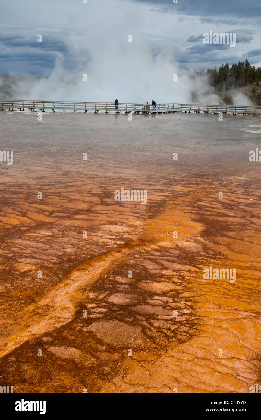 Stati Uniti d'America, Stati Uniti, America, Wyoming Yellowstone, Parco Nazionale Grand Prismatic, molla, acqua, geyser, caldo naturale, parco, ri Foto Stock