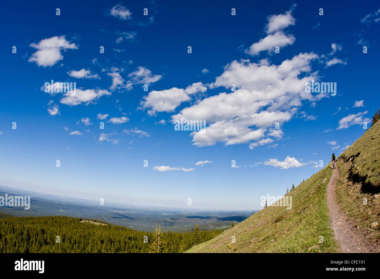 Un mountain biker discendente l unica via di Cox Hill, Kananaskis AB Foto Stock