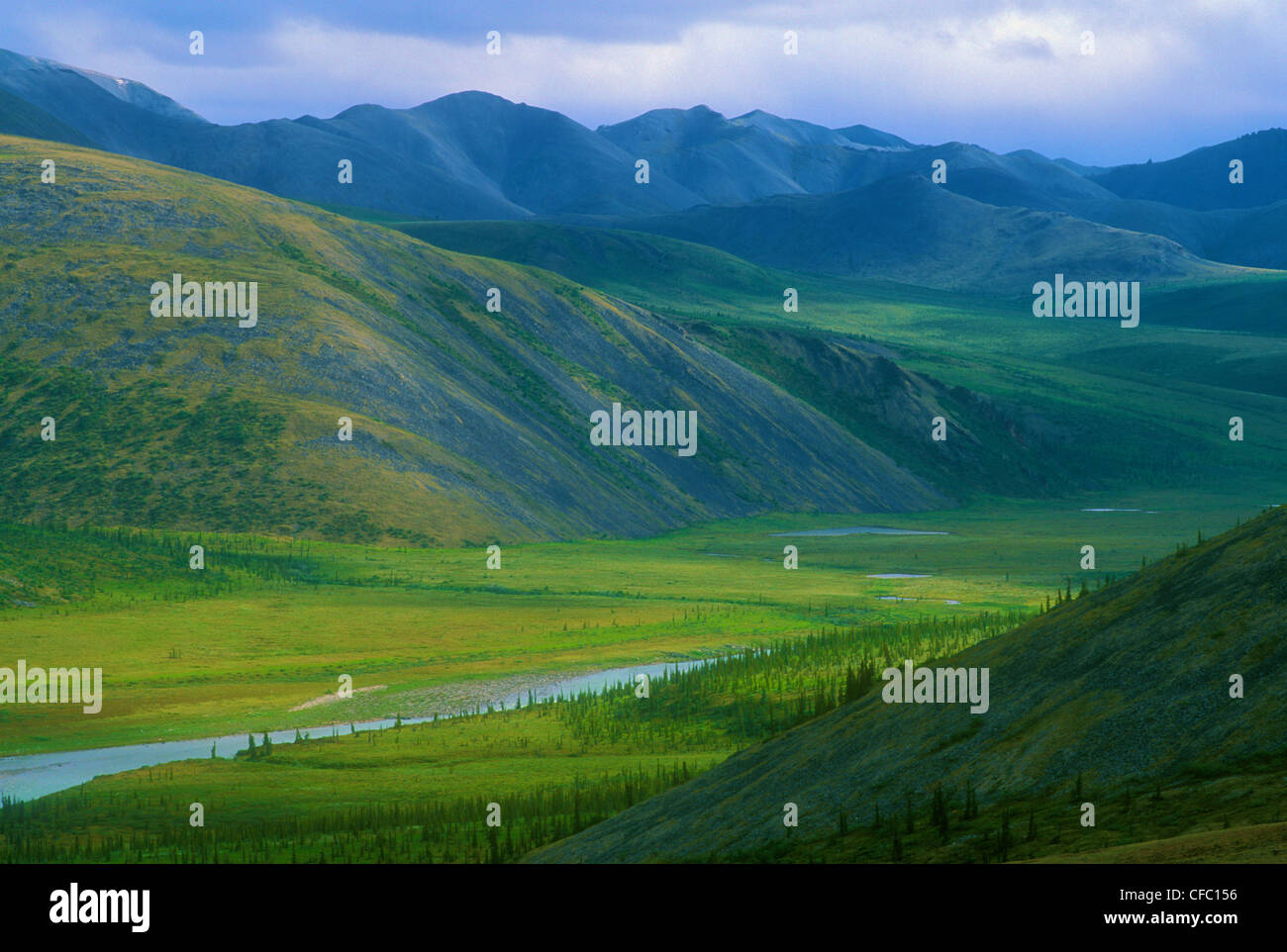 Richardson Montagne - Fiume Firth, Yukon. In Canada. Foto Stock