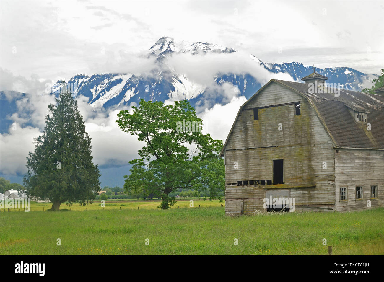 Fienile abbandonati con il Monte Cheam vicino Harrison Hotsprings, Fraser Valley, British Columbia, Canada Foto Stock