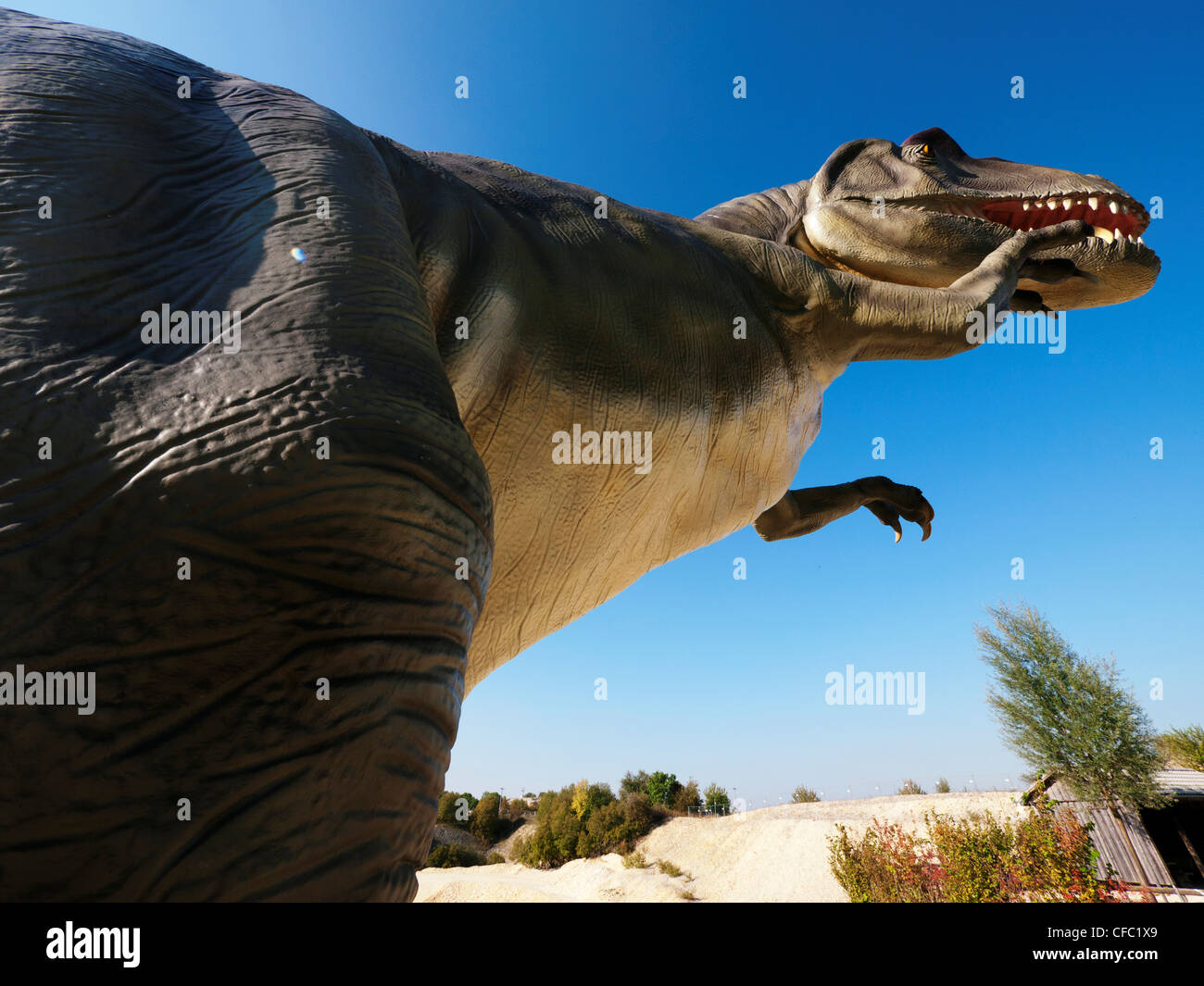 Altmühl, Altmühltal Nature Park, Baviera, Baviera, Germania, dinosauro, lucertola, Jurassic, Mesozoico, di Eichstätt, storia di e Foto Stock