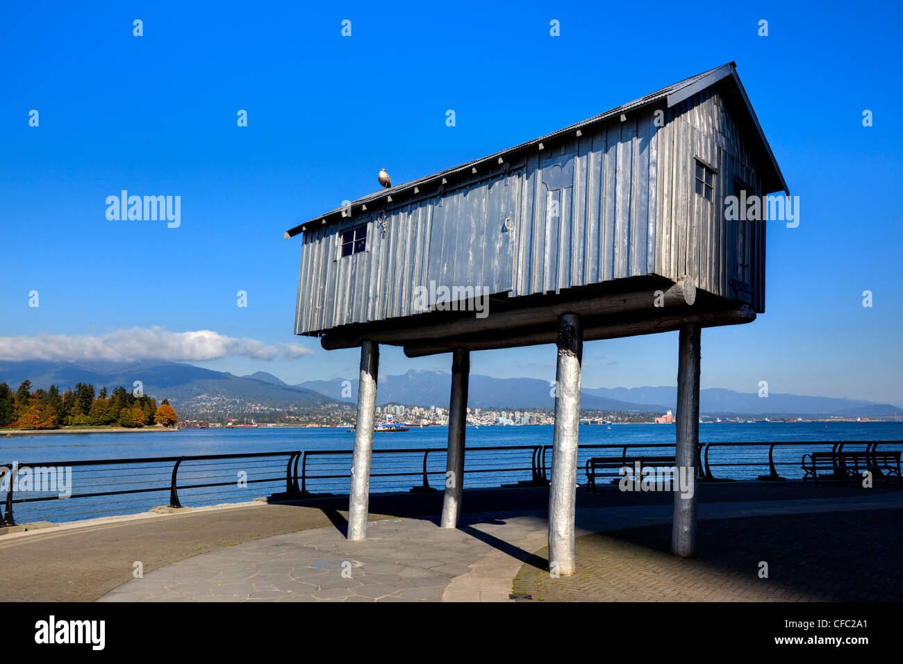 La luce artista Liz Magor mezza dimensione Foto Stock