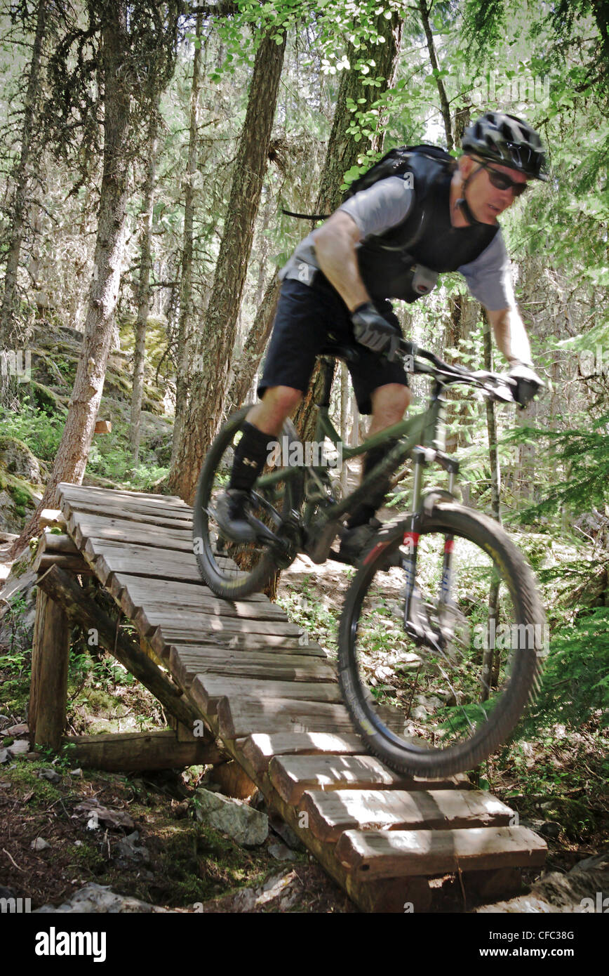 Uomo che cavalca acrobazie sul Kill Me Thrill Me vicino a Whistler, British Columbia, Canada Foto Stock