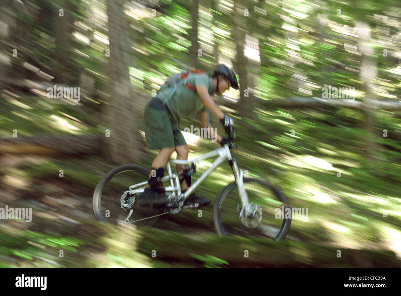 L'uomo accelerando attraverso il bosco su Cubi scoppiettanti vicino a Whistler, British Columbia, Canada Foto Stock