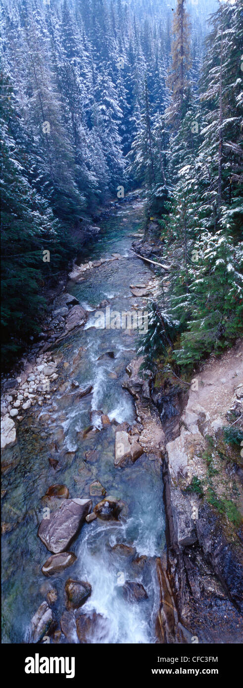 Sgorga acque del fiume Kuskanax dopo la prima nevicata , vicino a Nakusp, British Columbia, Canada Foto Stock