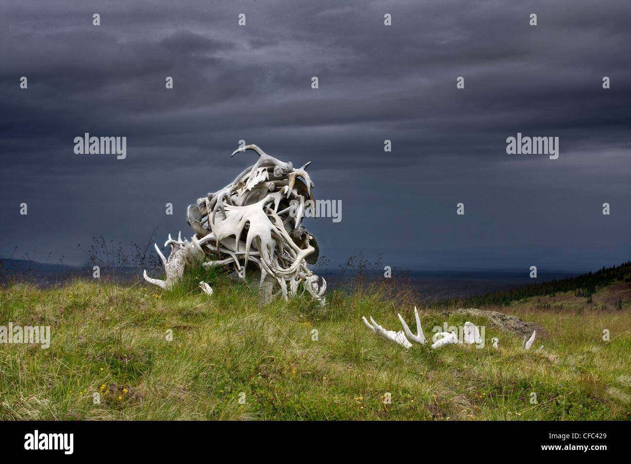 Tomba di pietra di corna di alce in Itcha montagne della Columbia britannica in Canada Foto Stock