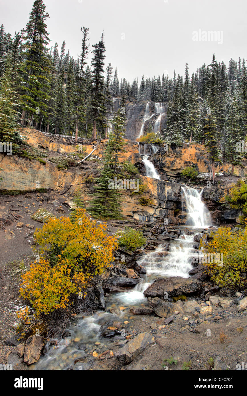 Groviglio scende, il Parco Nazionale di Jasper, Alberta, Canada Foto Stock