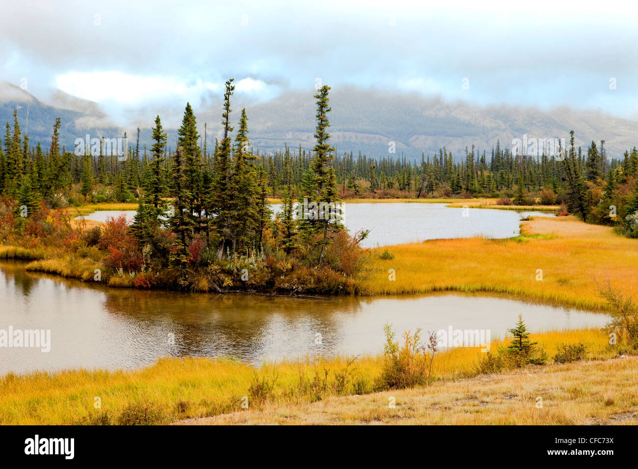 Athabasca River Floodplain, Jasper National Park, Alberta, Canada Foto Stock