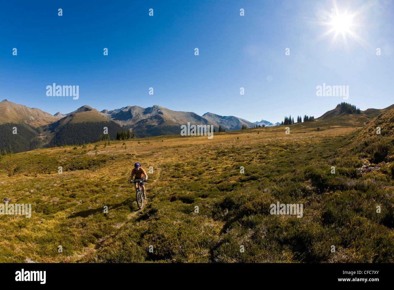 Un mountain biker in sella alcuni single track in Purcell Mountains, Golden, BC Foto Stock