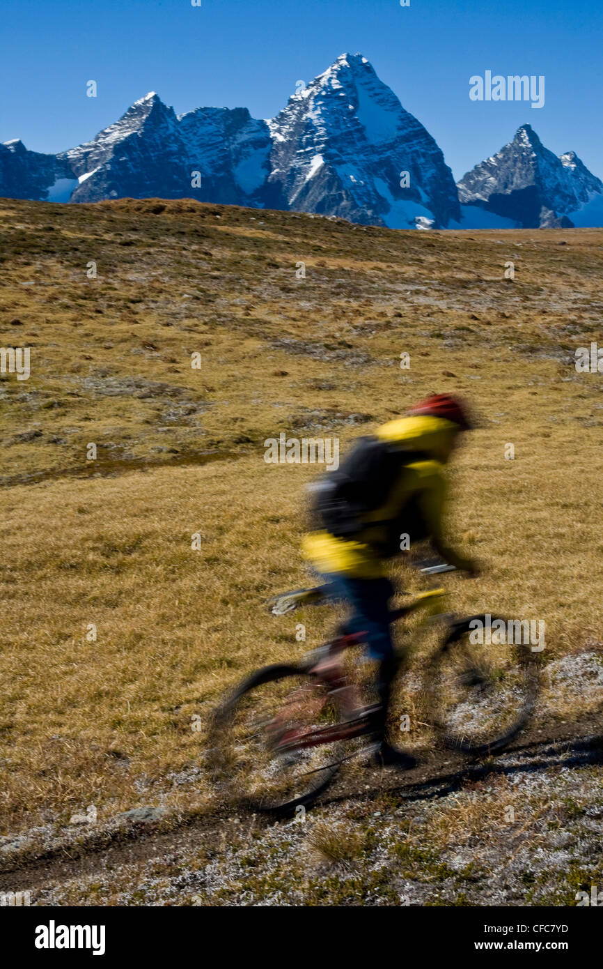Un mountain biker in sella alcuni single track in Purcell Mountains, Golden, BC Foto Stock