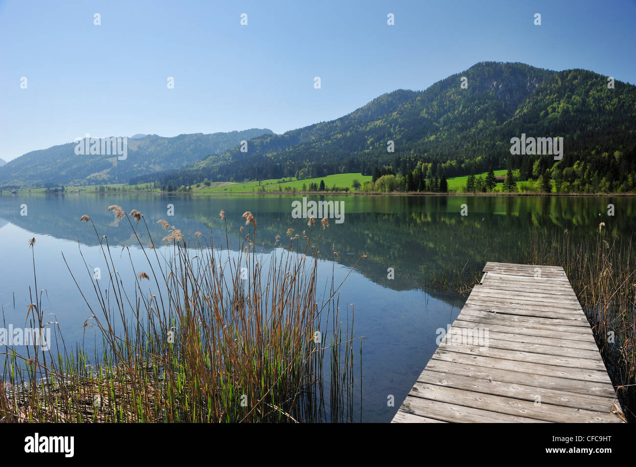 Pontile in legno che conduce al lago Weissensee, Carinzia, Austria, Europa Foto Stock