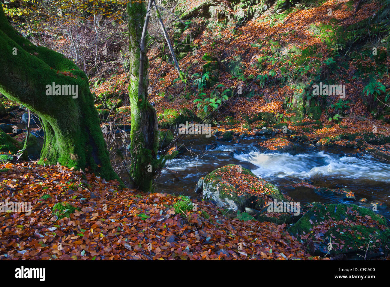 Burns statua, Birks di Aberfeldy, Perthshire, Scotland, Regno Unito Foto Stock