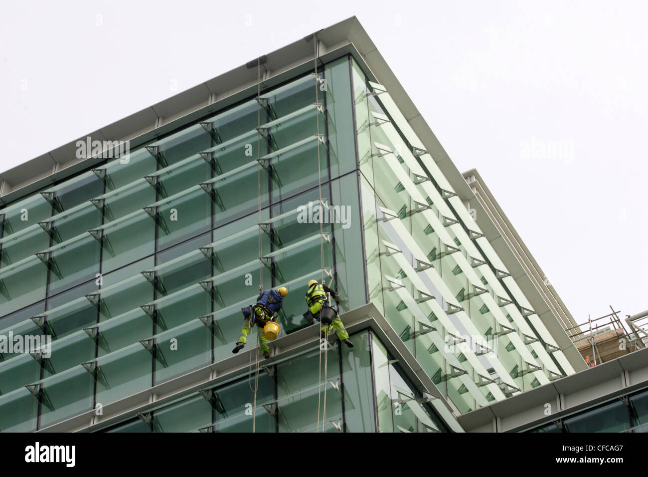 Detergenti per finestre a scalare marcia sono sospesi da funi al di fuori di un edificio alto. Foto Stock
