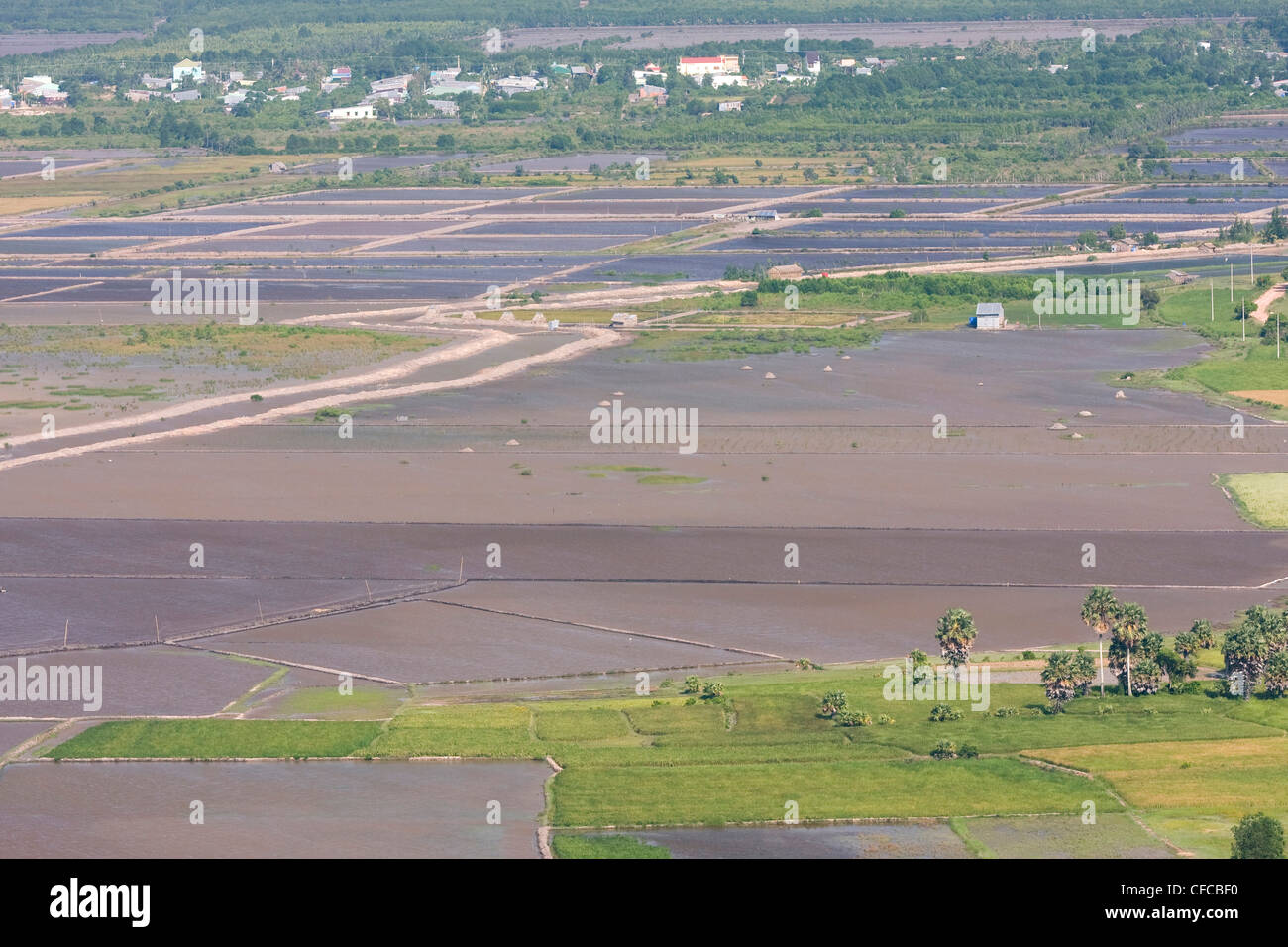 Asia, montagne, montuoso, paesaggio di montagna, campi, paesaggi, paesaggi, agricoltura, agriculturally, tipico, Vietnam, vie Foto Stock