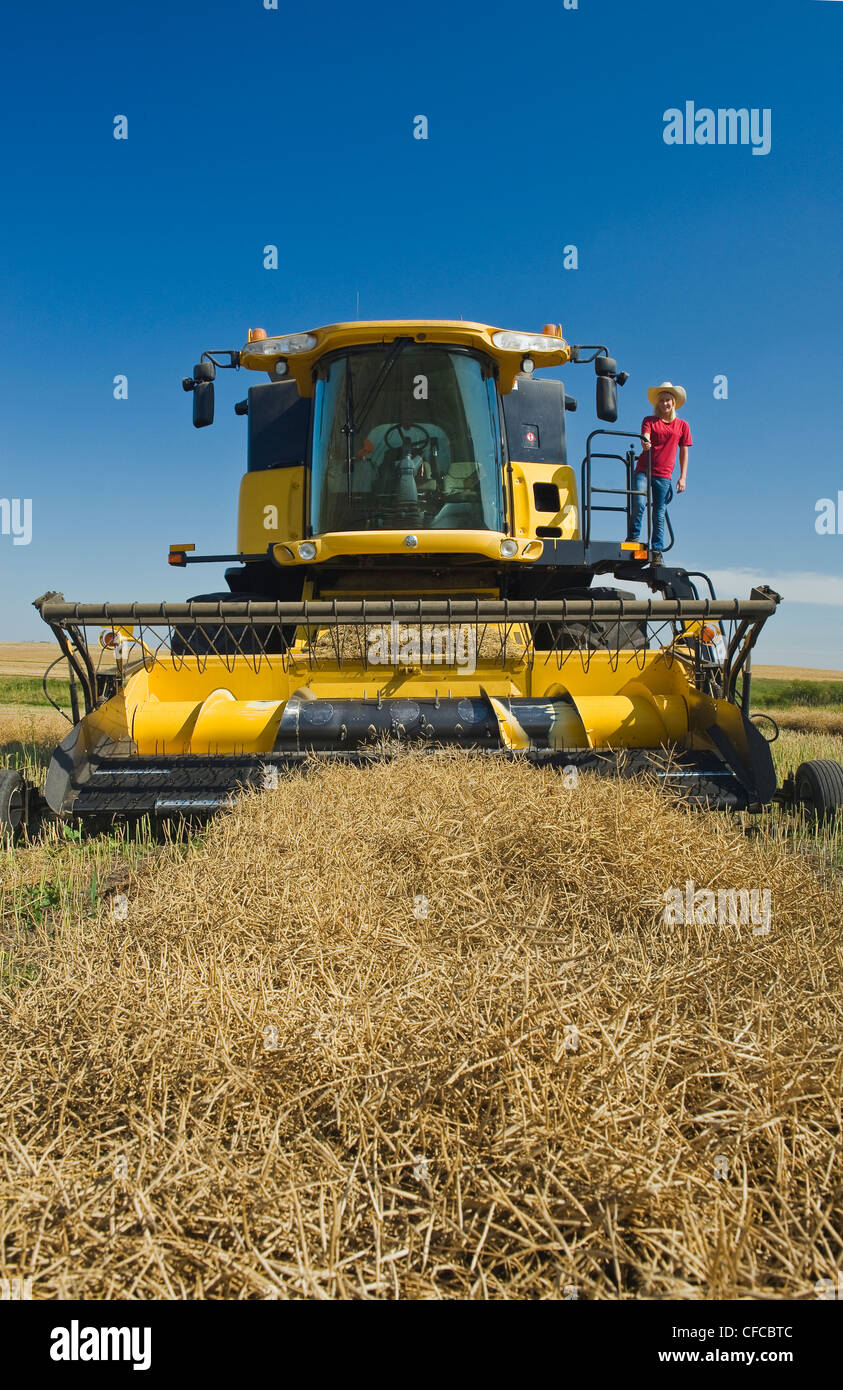 Un agriturismo teenage ragazza sul ponte di una mietitrebbia durante il raccolto di canola, Tiger colline, Manitoba, Canada Foto Stock