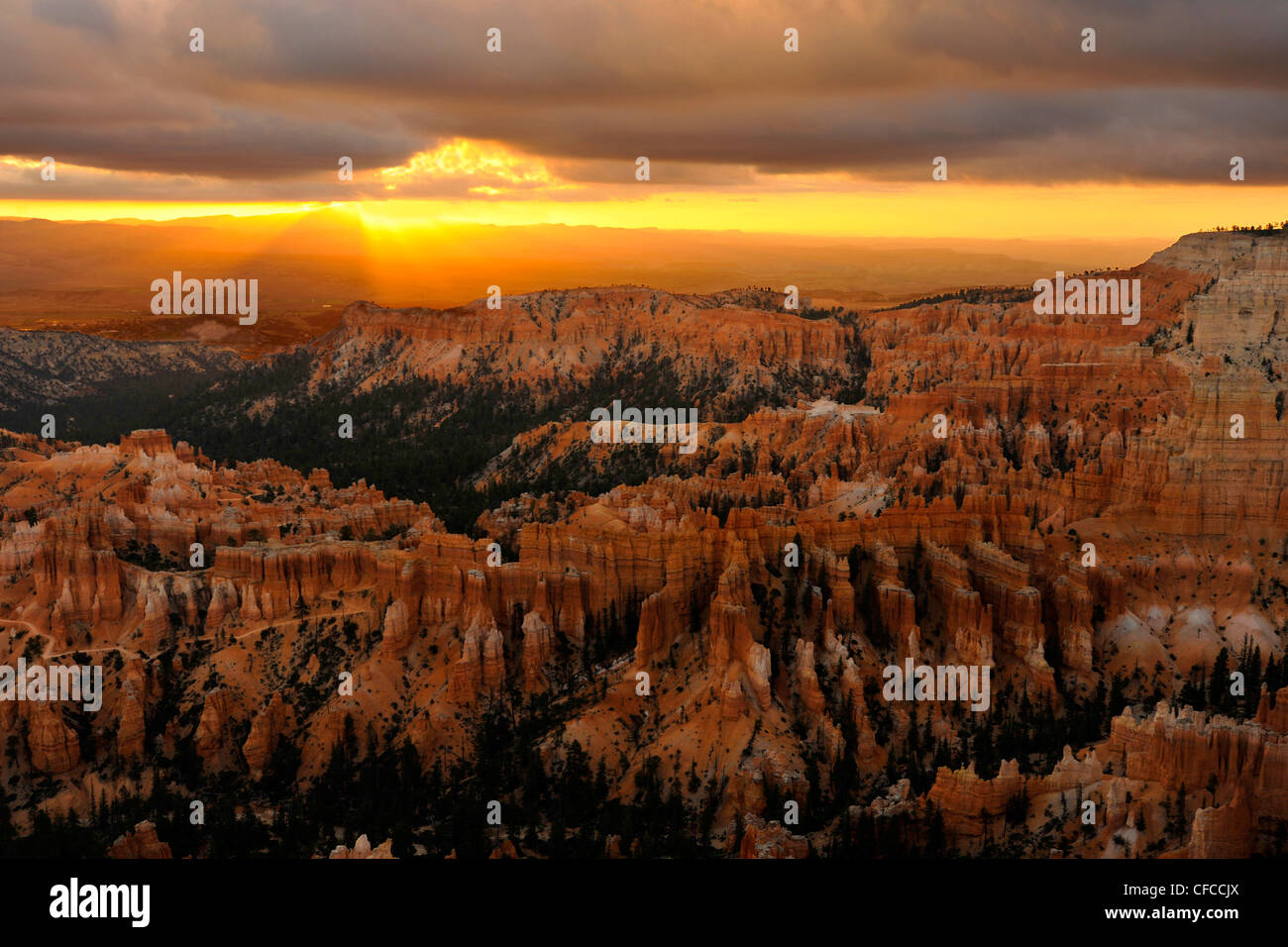 Bryce Canyon Bryce Canyon National Park, Utah, Stati Uniti d'America Foto Stock