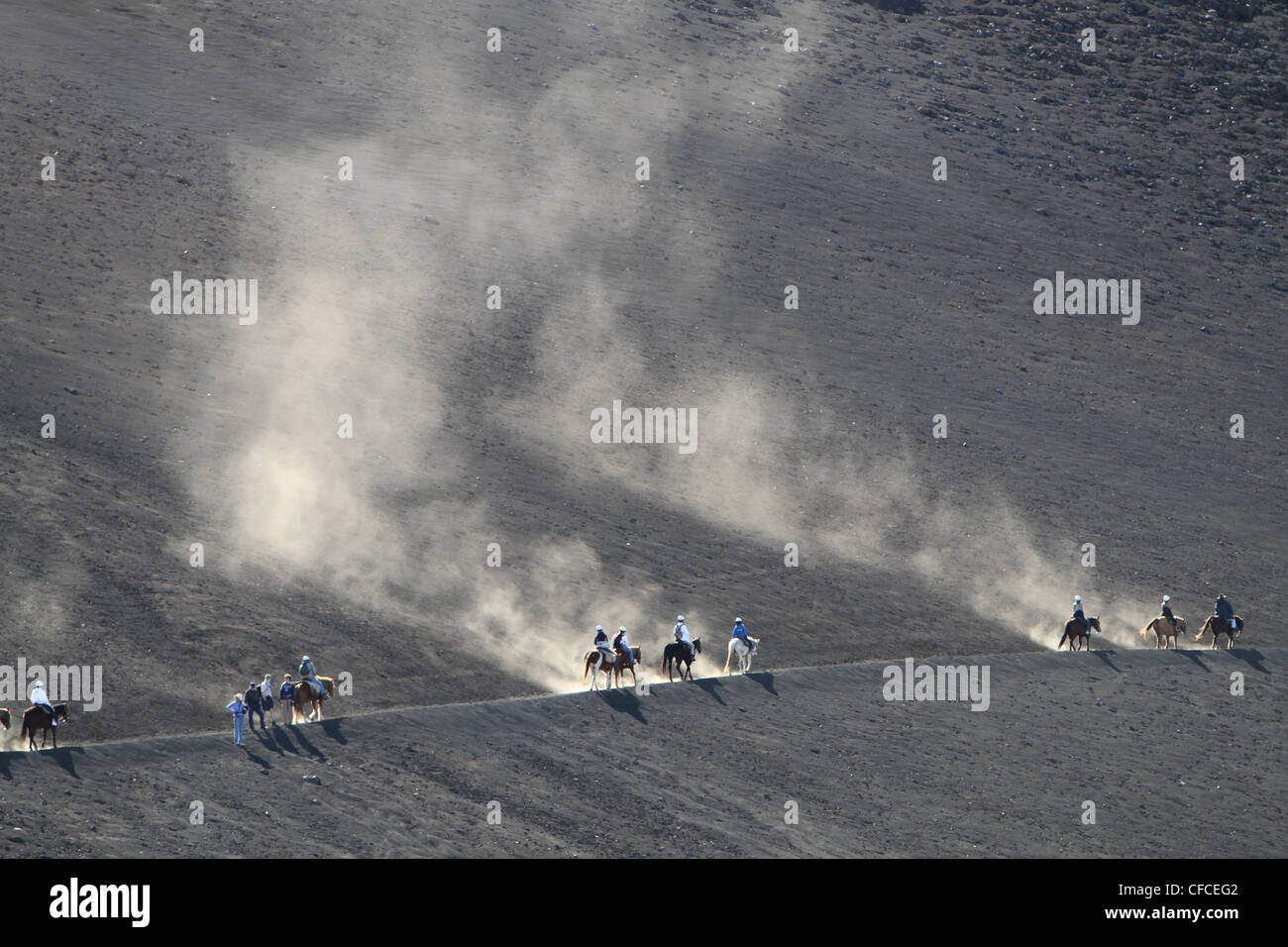 Maneggio cavalli lungo il cratere di Haleakala National Park, Maui, Hawaii Foto Stock